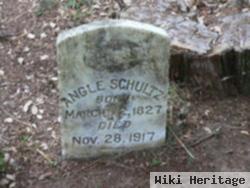 Angle Schultz