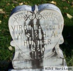 Virginia Hunter