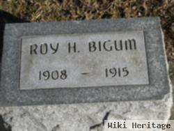 Roy Hiram Bigum