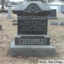 David W Mckellips