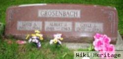 Albert John Grosenbach