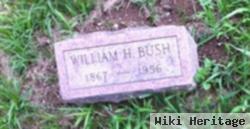 William H Bush