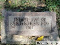 Infant Fox