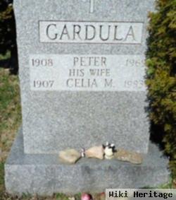 Peter Gardula