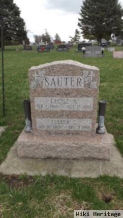 Lester L Sauter