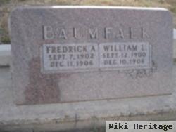 William Lewis Baumfalk