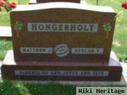 Matthew J Hongerholt