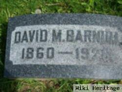 David M. Barnum