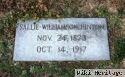 Sallie Ann Williamson Hinton