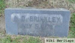 A. D. Brinkley