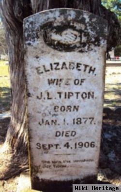 Mary Elizabeth Moore Tipton