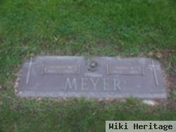 Henry W Meyer