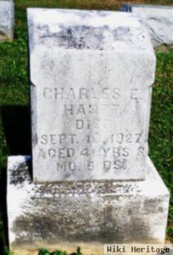 Charles E Haupt