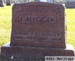 Harold Edward Gallogly