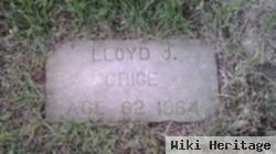 Lloyd J. Grice