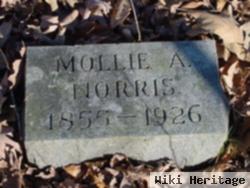 Mollie A Norris