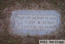 Gavin M Bishop