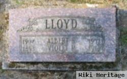 Albert S Lloyd