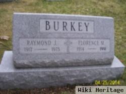 Raymond J Burkey