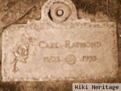 Carl Raymond Johnston