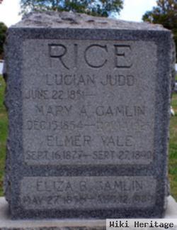 Mary Ann Gamlin Rice