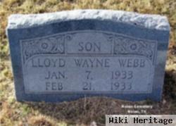 Lloyd Wayne Webb