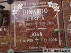 Jerry A. Dinardo