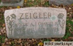 Mollie A Zeigler