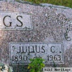 Julius Ceasar Briggs