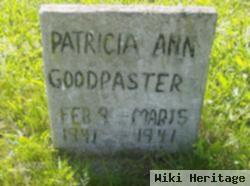 Patricia Ann Goodpaster