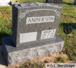 Robert H Anderson