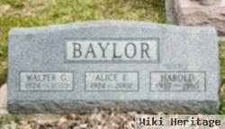 Alice Evelyn Fryer Baylor