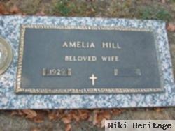 Amelia Hill