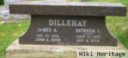 James A Dillehay