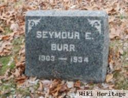 Seymour Edgar Burr