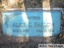 Alice C Harlow