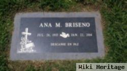 Ana M Briseno