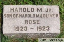 Harold M Rose, Jr