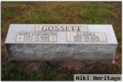 Mary Elizabeth Cisney Gossett