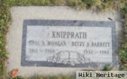 Betty Ann Knipprath Barrett