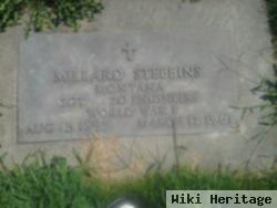 Millard Stebbins