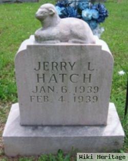 Jerry L Hatch