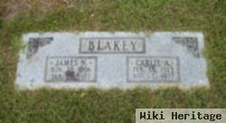 James N Blakey