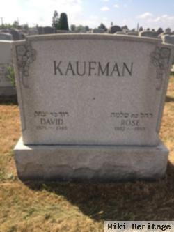 David Kaufman