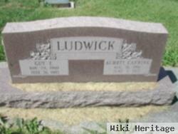 Guy Ludwick