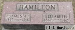 James A Hamilton