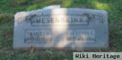 Sophia Augusta Berlemann Mesenbrink