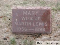 Mary T Lewis