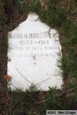 David M Rosenberd