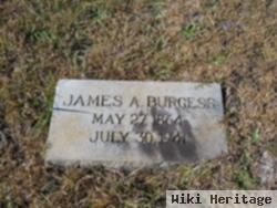 James A Burgess